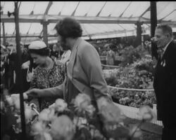 ROYAL DIARY News Clip