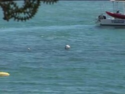 Jamaica pushing luxury end of tourism News Clip