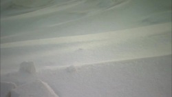 Deep snow covers a hillside in Alaska. Stock Footage