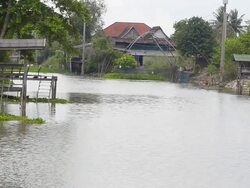 pavilion on riverbank Stock Footage