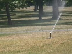 Sprinkler - HD 1080/60i Stock Footage