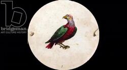 Animated 19th century thaumatrope with caged bird Stock Footage