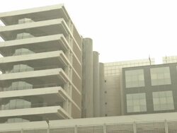 Nasser Institute For Research and Treatment hospital in Cairo after Luxor hot air balloon crash. News Clip