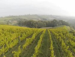 HD: Aerial Shot Of Farms With Vineyards Stock Footage