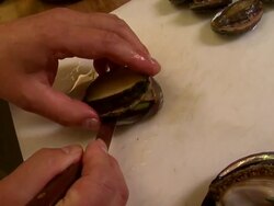Close up of chef removing abalone from their shells. Stock Footage