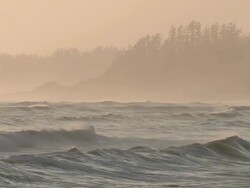 WS View of Waves and surf with misty rain forest / Tofino, British Columbia, Canada Stock Footage