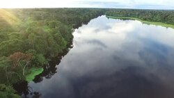 Aerial View of Peruvian Amazon and Jungle and inland lake Stock Footage