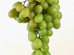 HD: Rotating Grape Stock Footage