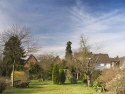 PAL:Time-lapse Garden Stock Footage