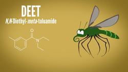 What's the Deadliest Animal in the World? Instructional Video