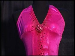 Personal items from Anna Nicole Smith's estate to be auctioned off Instructional Video