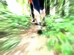 HD: Abstract Runners Stock Footage