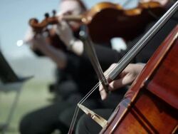 Outdoor Orchesta - Strings Stock Footage