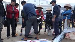 CLEAN : Chinese fishermen on front line News Clip