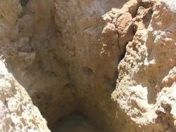 MS Shot of Men collecting water from shafts / Pilao Arcado, Bahia, Brazil Stock Footage