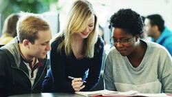 College students studying together Stock Footage