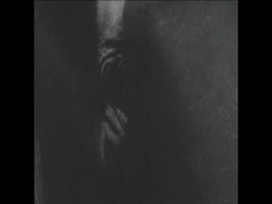 SYND 9 6 67 MYSTERY OF HAIRY ELEPHANT AT JAPANESE ZOO News Clip