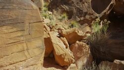 Wide panning shot of rocks in desert landscape / Moab, Utah, United States Stock Footage
