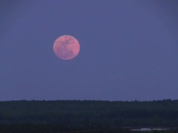 Moonrise Stock Footage