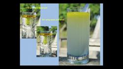 Carl Safina: The oil spill's unseen villains -- and victims Instructional Video