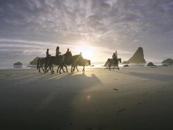 Horses and Riders on Pacific Beach at Sunset Stock Footage