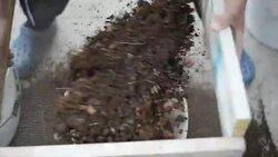 Sieving land. Slow motion. Stock Footage