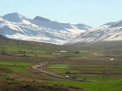 WS View of mountains with large flock of Icelandic sheep moving along road below during retire / Skagafjorour, Nordhurland Vestra, Iceland  Stock Footage
