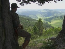 Cowboy overlooks countryside Stock Footage