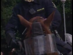 200 protesters arrested following clash with police News Clip