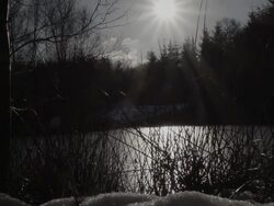 Frozen Lake In The Middle Of A Pine Wood Stock Footage