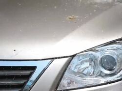 Car Wash Stock Footage