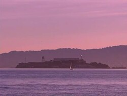 alcatraz Stock Footage