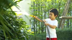 4K:Cute little boy watering on the tree. Stock Footage