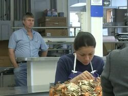 CLEAN: US guest worker program, a model for reform? News Clip