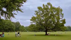 Central park, New York Stock Footage