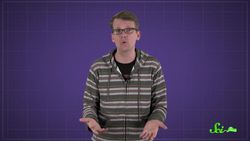 What Did Dinosaurs Really Sound Like? Instructional Video