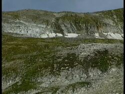 WA moss and lichen on mountain, series, Antarctica Stock Footage