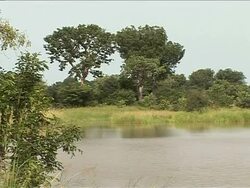 CLEAN: Benin cotton farmers embrace the organic revolution News Clip