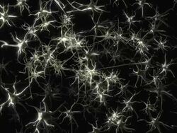 Neurons in a field sharing impulses Stock Footage