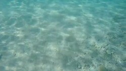 Nature Stock Footage