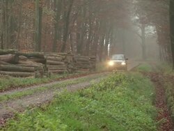 Pickup truck driving through forest Stock Footage