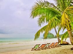 Hotel beach Stock Footage