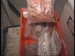 USA: RESEARCHERS LOOK TO NATURE FOR CURING DISEASE News Clip