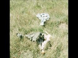 SYND 12-12-73 HIGHWAY 3 PHNOM PENH BODIES BELIEVED TO HAVE BEEN MASSACRED News Clip