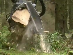  MS Harvester at work in forest / Zerf, Rhineland Palatinate, Germany Stock Footage