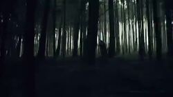 MONTAGE Woman experiencing horror deep in the woods Stock Footage