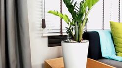 Interior design of couch in Living room Stock Footage