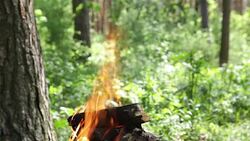 Burning firewood for cooking food over charcoal. Stock Footage