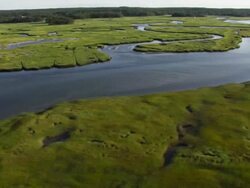 Aerial view of coastline, river, marsh grass. Stock Footage