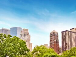 Tree and city Stock Footage